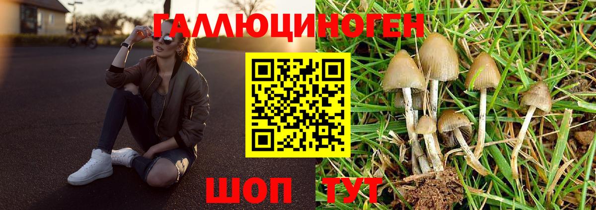 Псилоцибиновые грибы MAGIC MUSHROOMS  Вход с VPN  продажа наркотиков  Галлюциногенные грибы Psilocybe  Хабаровск 