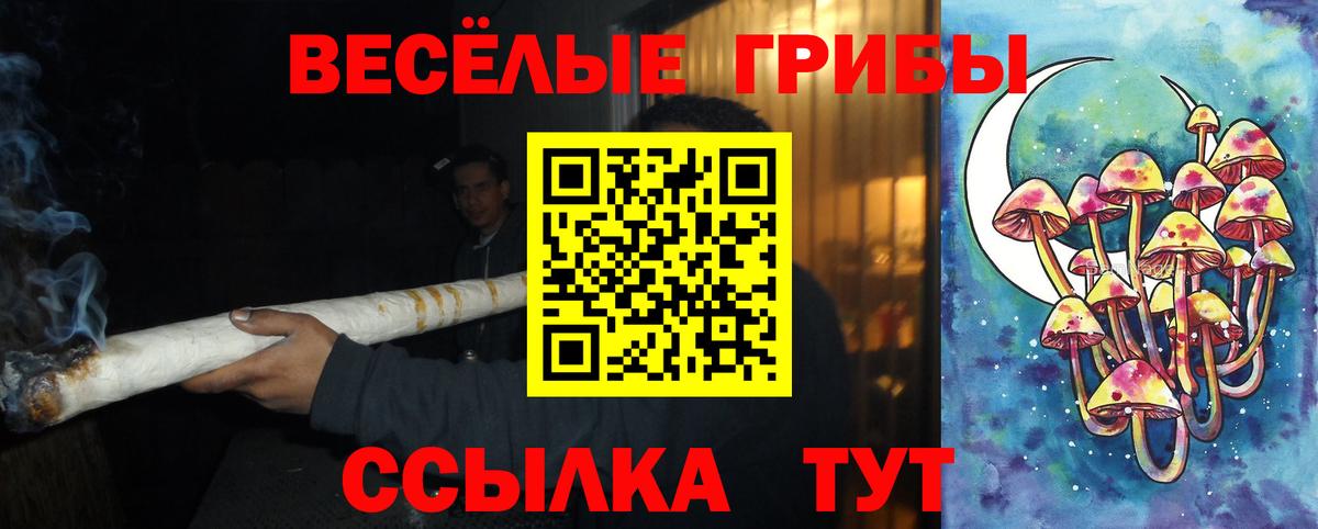 Псилоцибиновые грибы Cubensis Хабаровск